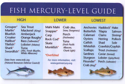 Fish Mercury Levels